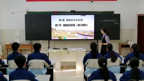 ��ϸ������ֳ���˽̰�����������һ2025���Ǹ��ܿ��ý�ѧ���´���������Ƶ