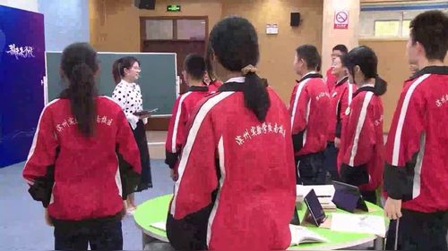 �����ܺ����ܡ��˽̰��������2024����չʾ����Ƶ