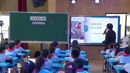 �������Ķ���-���Ƴ��롷�������������̽Ѱ����Ϊ����Ľ�ѧ����̬չʾ����Ƶ