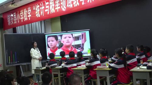 ��ƽ�������˽̰�������ѧСѧ��ѧͳ������������ѧ����ר�⹫������Ƶ