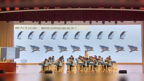 �����һ�����ࣨ�٣��������Ƕ��١��ൺ��һ����ѧ�ڶ��������Сѧ��ѧ��ѧ��Ħ��������Ƶ