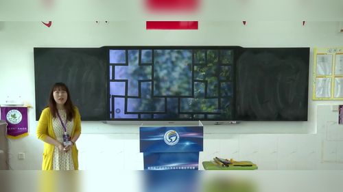 ��ֱ�������߶Ρ��˽̰�������ѧ���Ľ������ʦģ���ѧ�����صȽ���Ƶ
