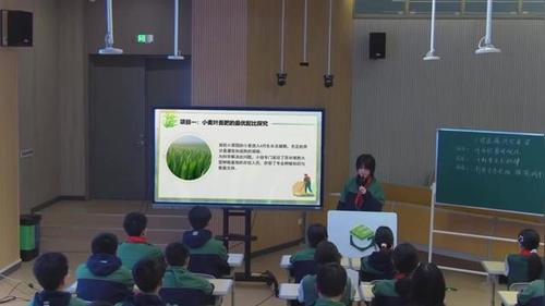 ��С��ӯ�� �紵���ˡ��տư���꼶��ѧ��ѧ�ƿ���ʵ¼��Ƶ