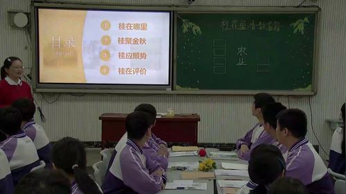 ����ӯ���¸�·���˽̰���ϵ�����ѧ���ں�չʾ����Ƶ