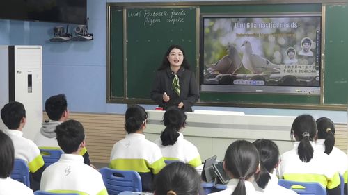 ��Unit6 Understanding ideas Pigeon surprise�����а�����Ӣ���˹����ܸ��ܿ��ý�ѧ���Ͱ�������ʵ¼��Ƶ