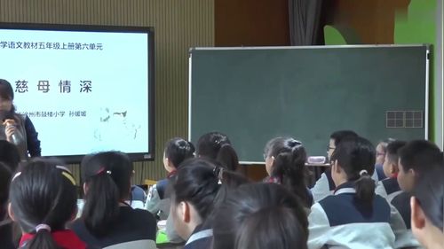 ����ĸ������꼶�ϲ�񽱹����β����Сѧ���Ŀ���ʵ¼